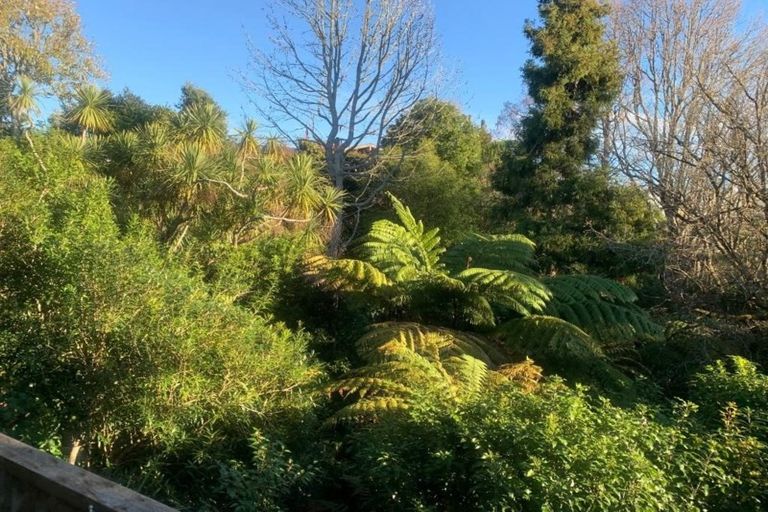 Photo of property in 12 Comries Road, Chartwell, Hamilton, 3210