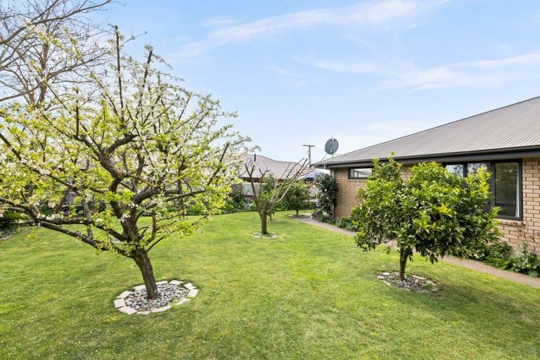 Photo of property in 123 Arataki Road, Havelock North, 4130