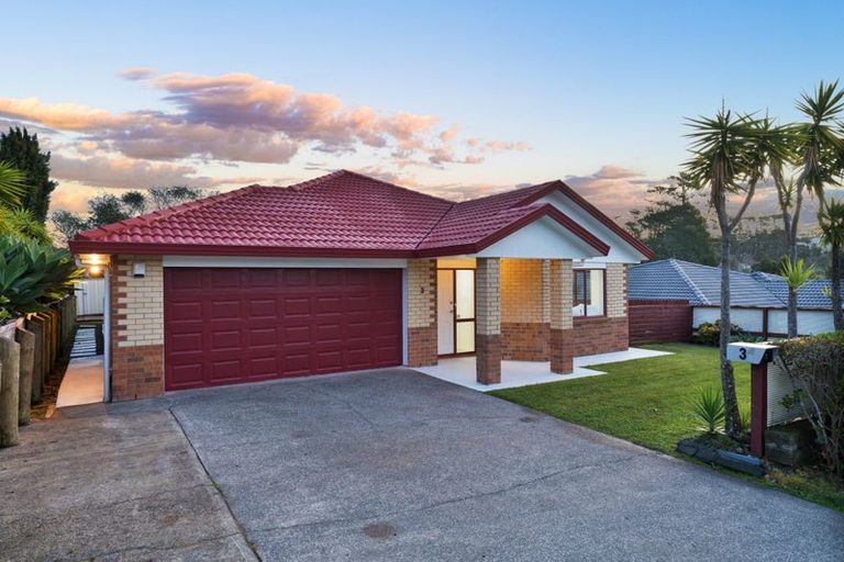 Photo of property in 3 Fleetwood Drive, Henderson, Auckland, 0612