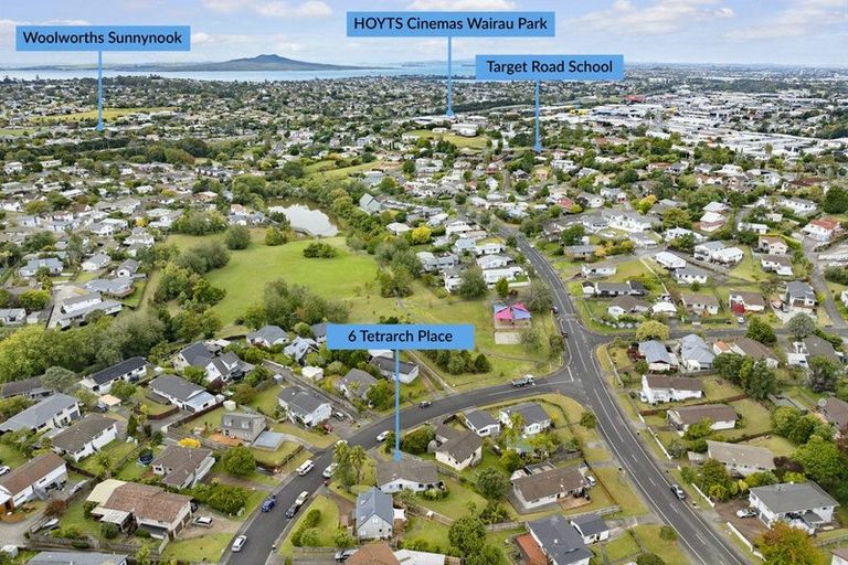 Photo of property in 6 Tetrarch Place, Totara Vale, Auckland, 0629