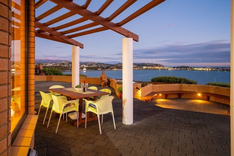 Photo of property in 29 Treasure Grove, Hataitai, Wellington, 6021