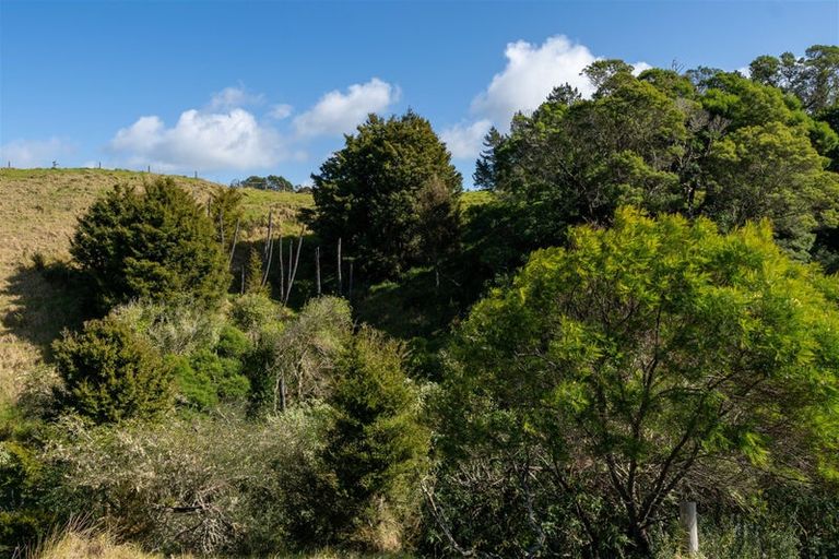Photo of property in 42 Tirohanga Road, Kawakawa, 0282