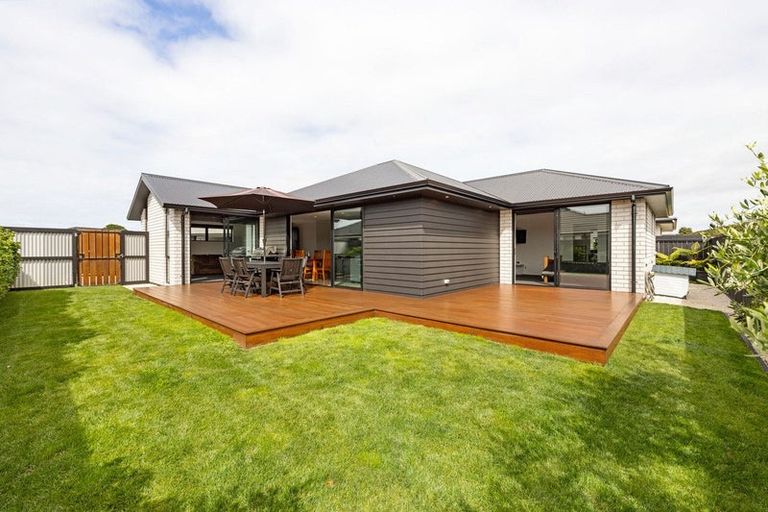 Photo of property in 17 Kereruu Street, Cambridge, 3434