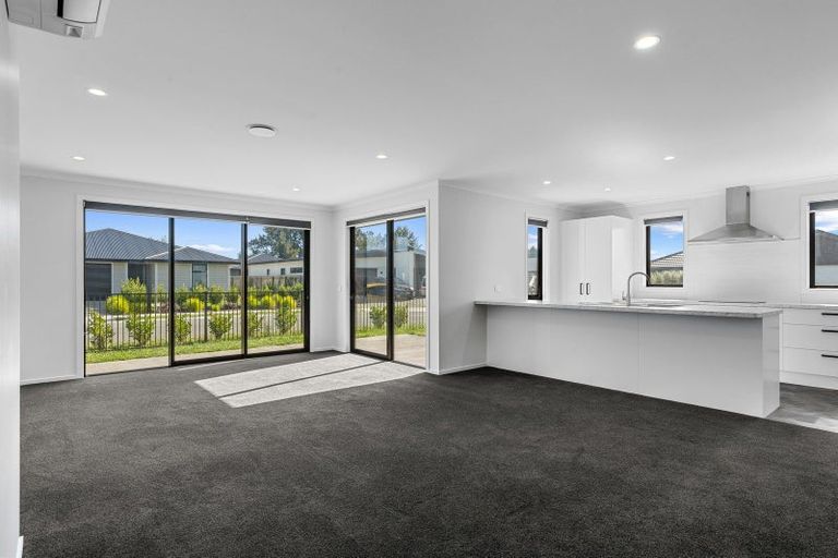 Photo of property in 5 Lotus Street, Appleby, Richmond, 7020