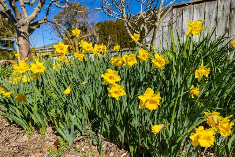 Photo of property in Wairau Valley, Wairau Valley, Blenheim, 7271
