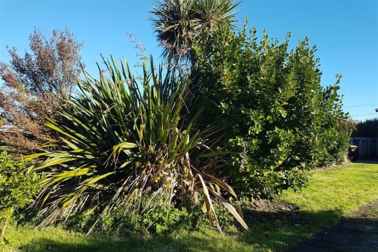 Photo of property in 153 Romilly Street, Westport, 7825