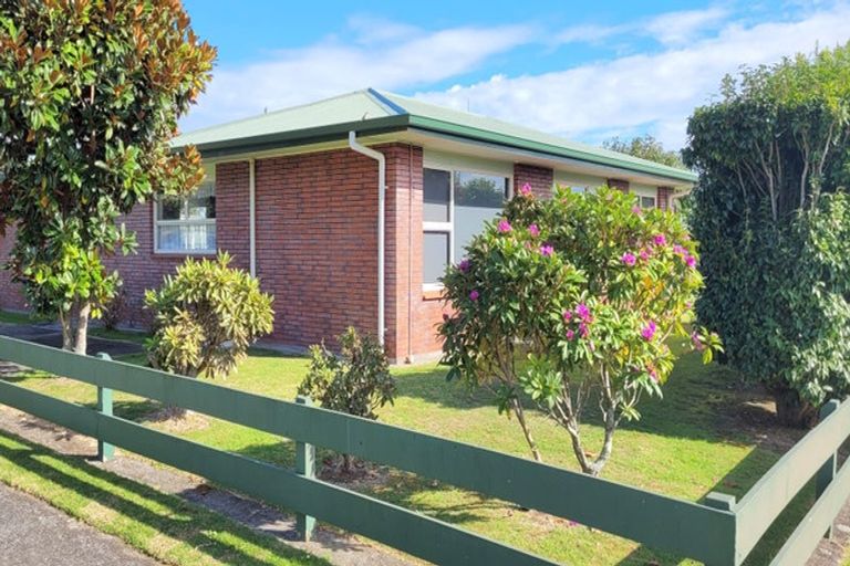 Photo of property in 55 Browne Street, Waitara, 4320