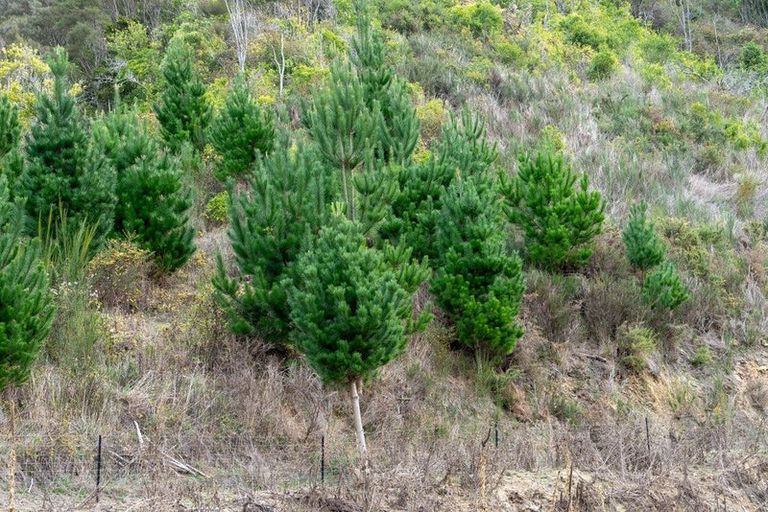 Photo of property in 266 Wairoa Gorge Road, Wairoa Valley, Brightwater, 7091