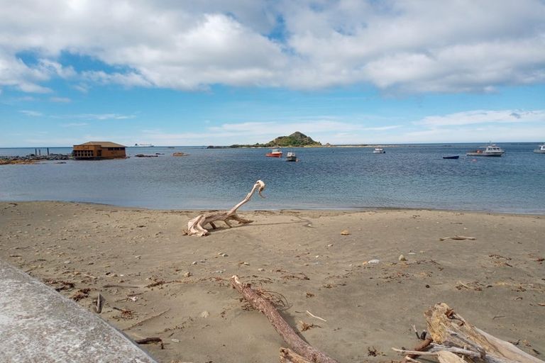 Photo of property in 236 The Esplanade, Island Bay, Wellington, 6023