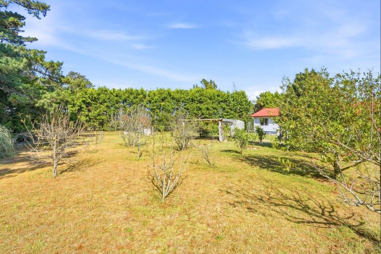 Photo of property in 41 Rangiotu Road, Himatangi, Palmerston North, 4477