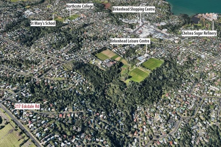 Photo of property in 1/217 Eskdale Road, Birkenhead, Auckland, 0626