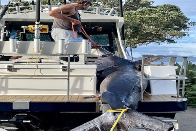 Photo of property in 21 Orete Point Road, Waihau Bay, Te Kaha, 3199