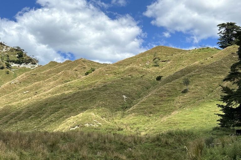 Photo of property in 10 Vera Road, Te Atatu South, Auckland, 0610