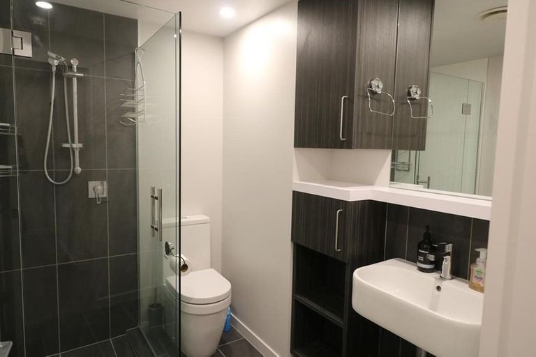 Photo of property in Vsp South, 807/166u Victoria Street, Te Aro, Wellington, 6011