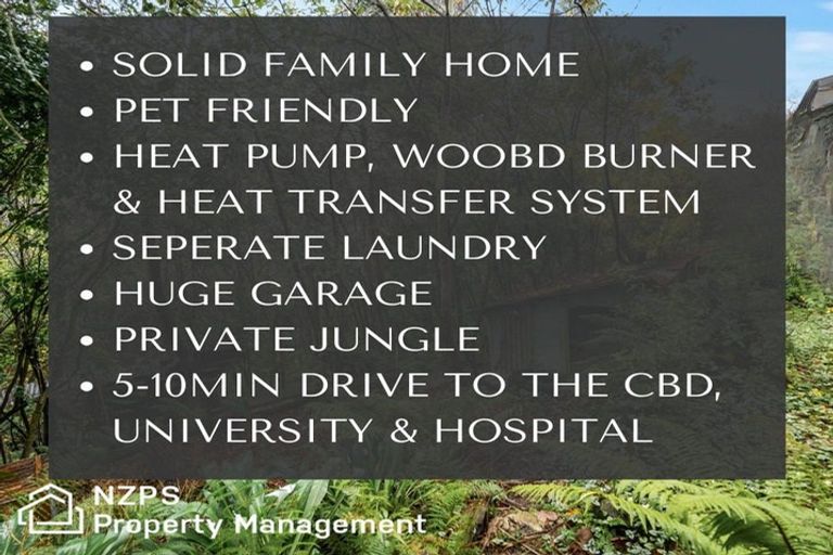 Photo of property in 19 Wairoa Street, Kaikorai, Dunedin, 9010