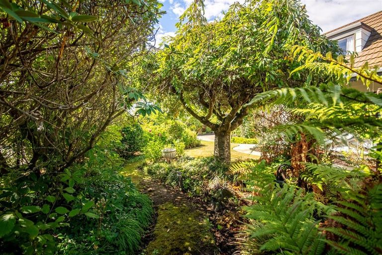 Photo of property in 47 Monaghan Street, Northwood, Christchurch, 8051