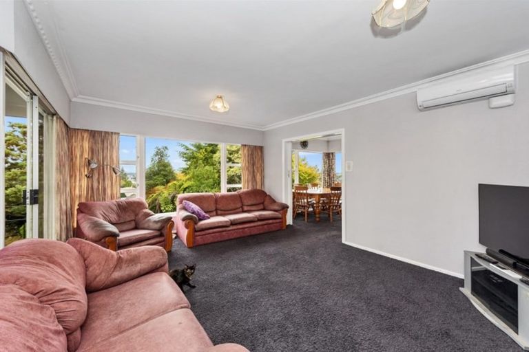 Photo of property in 29 Newcastle Road, Dinsdale, Hamilton, 3204