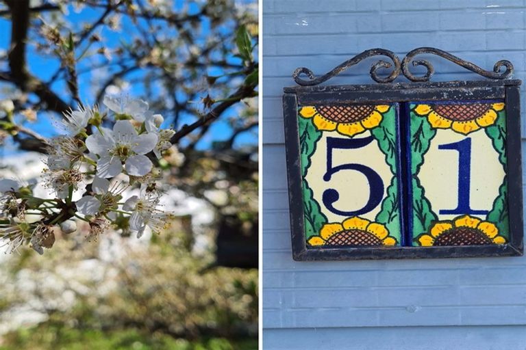 Photo of property in 51 Splitt Avenue, Glenview, Hamilton, 3206