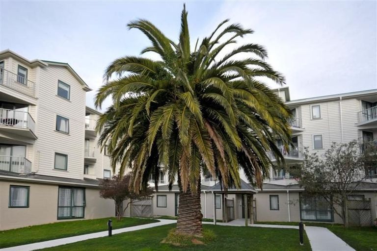 Photo of property in Palm Grove Apartments, 14/13d Palm Grove, Berhampore, Wellington, 6023