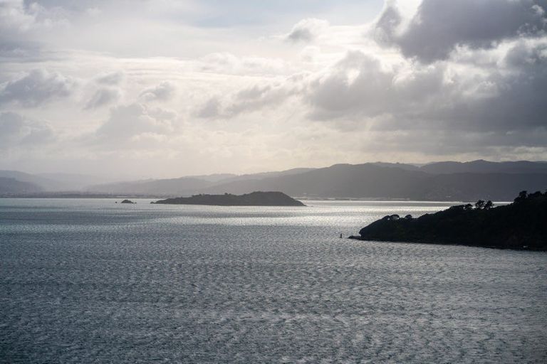 Photo of property in 142 Grafton Road, Roseneath, Wellington, 6011