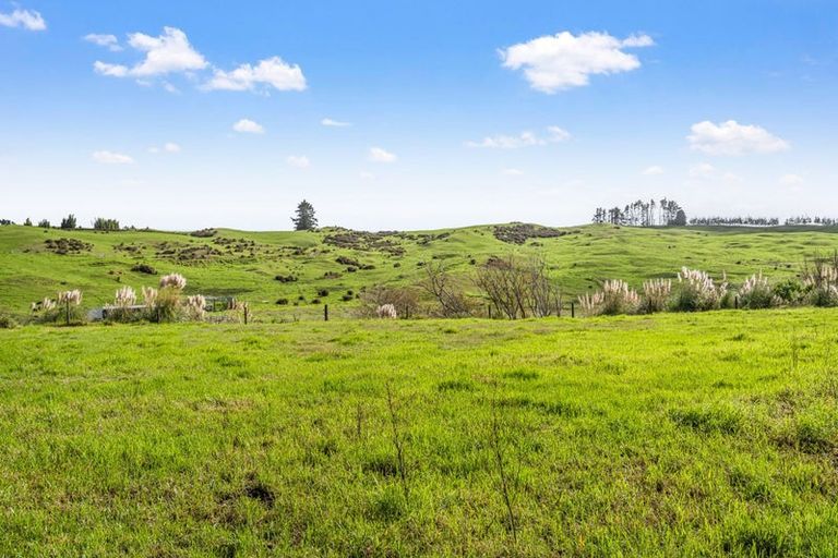 Photo of property in 230 Tavinor Road, Otaika, Whangarei, 0170