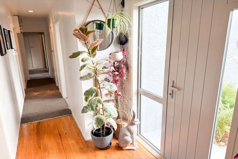 Photo of property in 49 Dome Street, Newfield, Invercargill, 9812