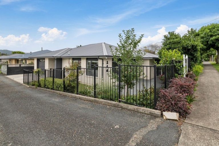 Photo of property in 144 Winchester Street, Levin, 5510