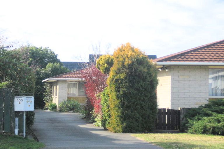 Photo of property in 2/503 Frederick Street, Mahora, Hastings, 4120