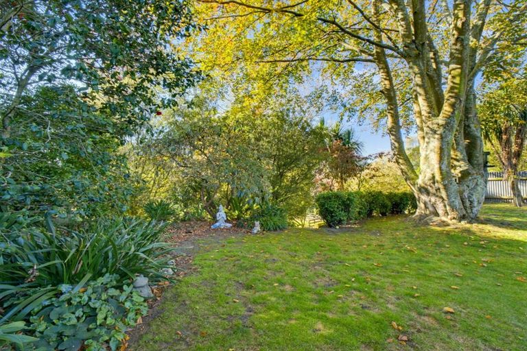 Photo of property in 43 Norfolk Crescent, Feilding, 4702