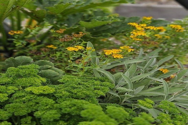 Photo of property in 728 Peak Road, Helensville, 0875