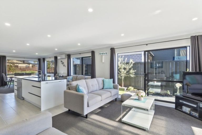 Photo of property in 39 Capper Crescent, Chartwell, Hamilton, 3210