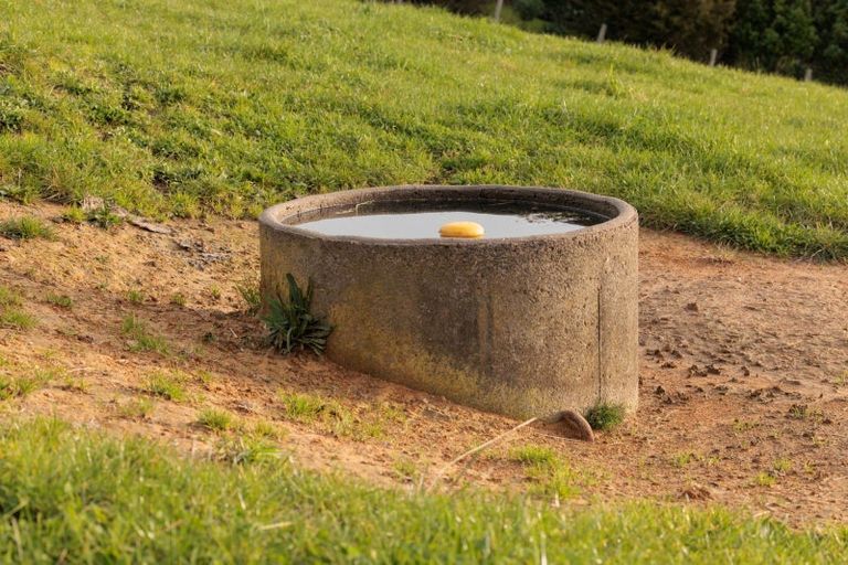 Photo of property in 39c Rowe Road, Ohauiti, Tauranga, 3173