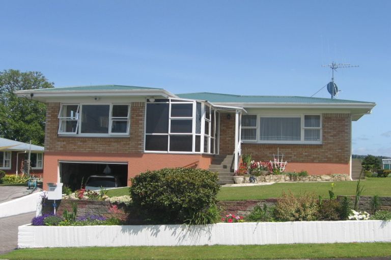 Photo of property in 12 Ormsby Crescent, Otorohanga, 3900