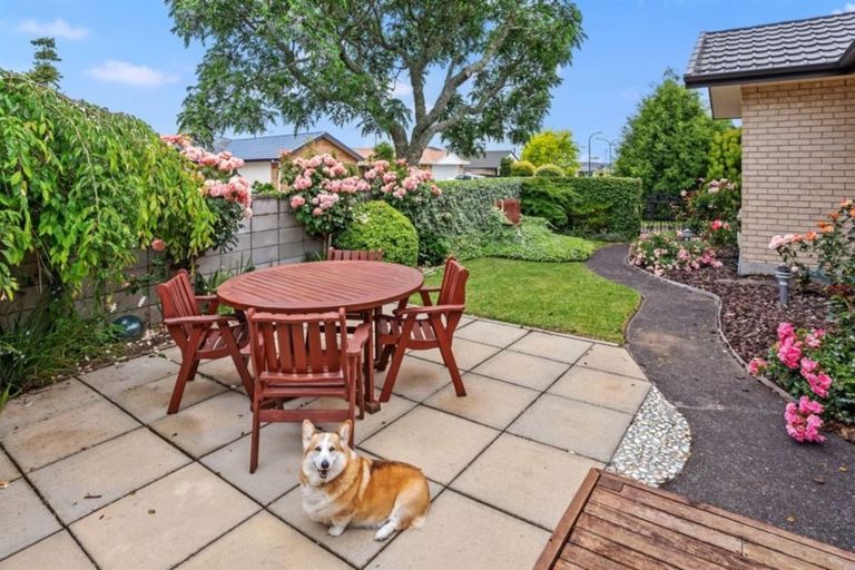 Photo of property in 11 Kopu Drive, Pyes Pa, Tauranga, 3112