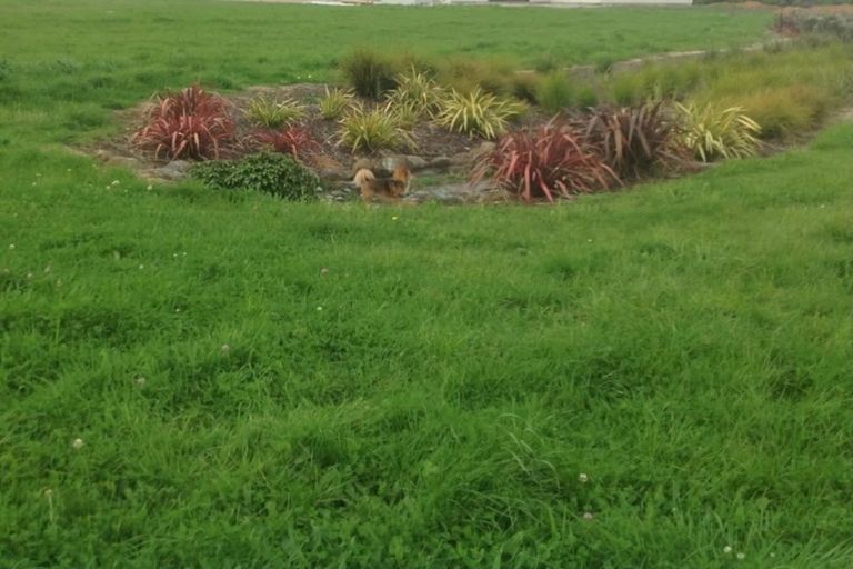 Photo of property in 10 Pathways Drive, Kerikeri, 0230