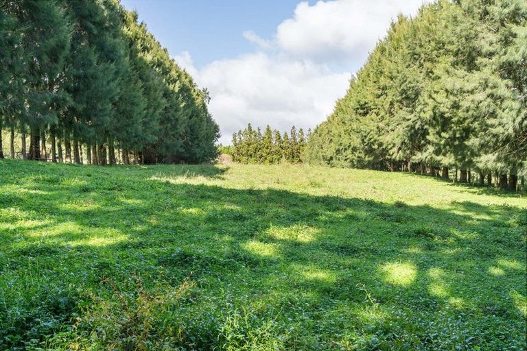 Photo of property in 486 Esdaile Road, Whakamarama, Tauranga, 3180