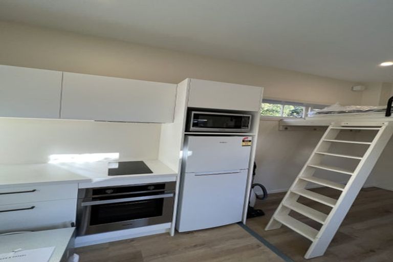 Photo of property in 60 Royal Terrace, Dunedin Central, Dunedin, 9016