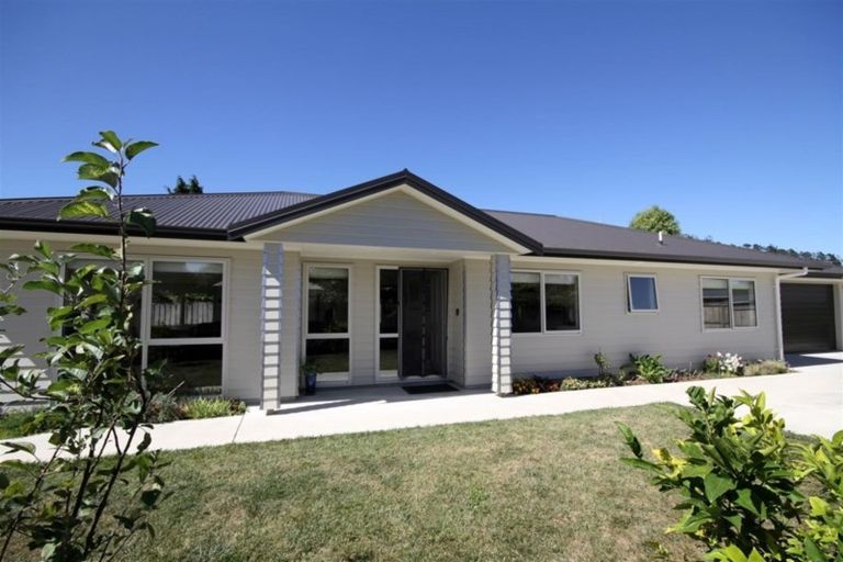 Photo of property in 2c Cuba Street, Waihi, 3610