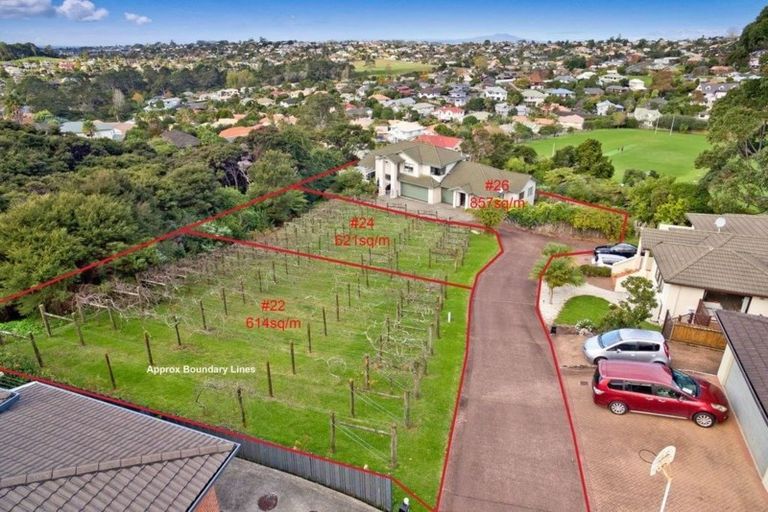 Photo of property in 22 Lorikeet Place, Unsworth Heights, Auckland, 0632