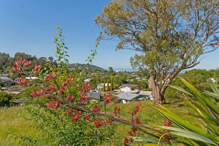 Photo of property in 31 Richardson Avenue, Whataupoko, Gisborne, 4010