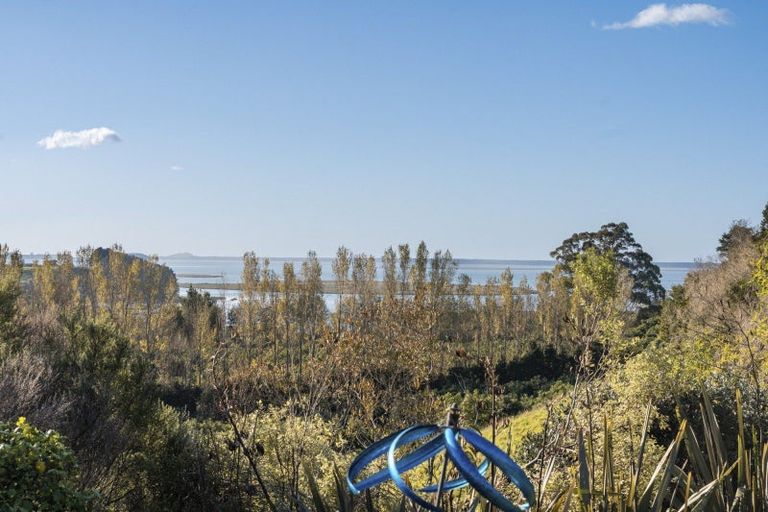 Photo of property in 101 Turntable Hill Road, Whakamarama, Katikati, 3181
