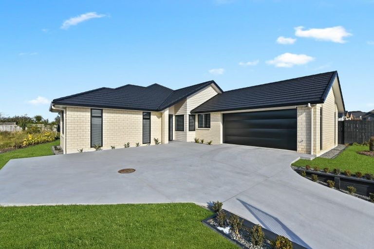 Photo of property in 20 Purser Crescent, Flagstaff, Hamilton, 3210