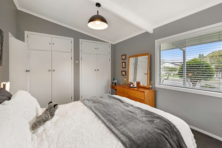 Photo of property in 11 Opawa Place, Terrace End, Palmerston North, 4410