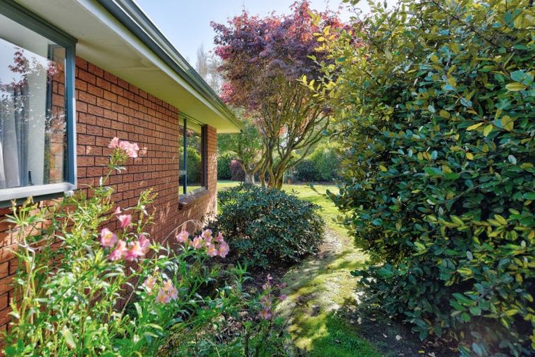 Photo of property in 50 Morton Street, Edendale, 9825
