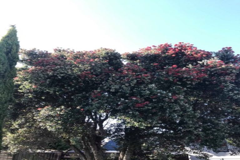 Photo of property in 5a Matavai Street, Mount Maunganui, 3116
