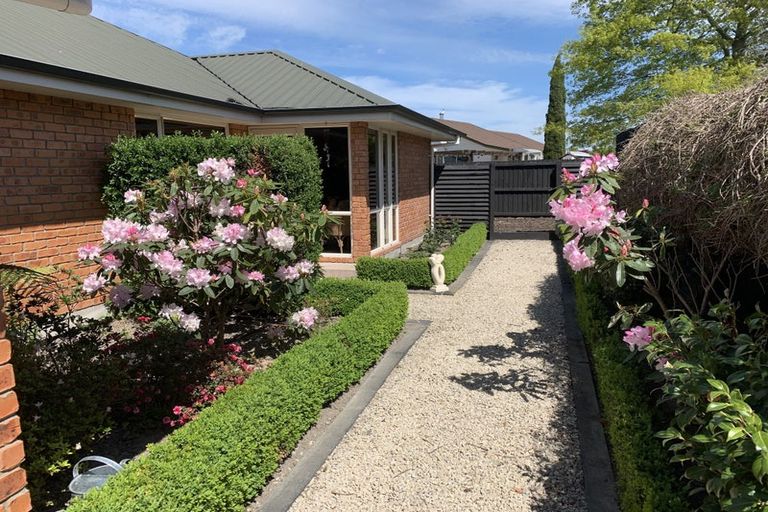 Photo of property in 3 Hamel Lane, Kaiapoi, 7630