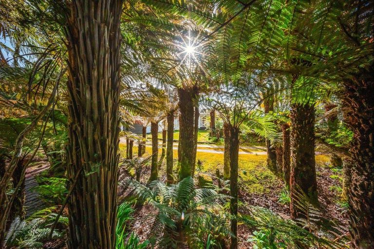 Photo of property in 137 Otapouri Road, Owhango, 3989