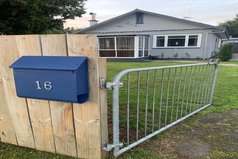 Photo of property in 16 Hinau Street, Maeroa, Hamilton, 3200