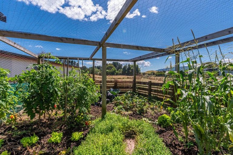 Photo of property in 33 Killalea Place, Paraparaumu, 5032