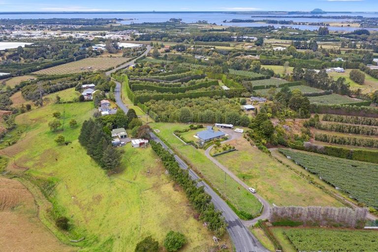 Photo of property in 105 Wharawhara Road, Tahawai, Katikati, 3178